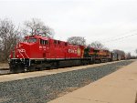 CP 8119